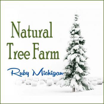 Natural Tree Farm in Ruby Michigan