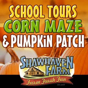Shawhaven Farm Fall Corn Maze & Pumpkin Patch in Mason Michigan