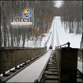 Tobogganing at City Forest in Midland Michigan